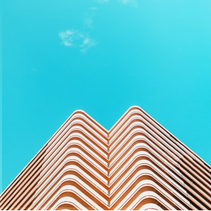 Imagem representando a organização